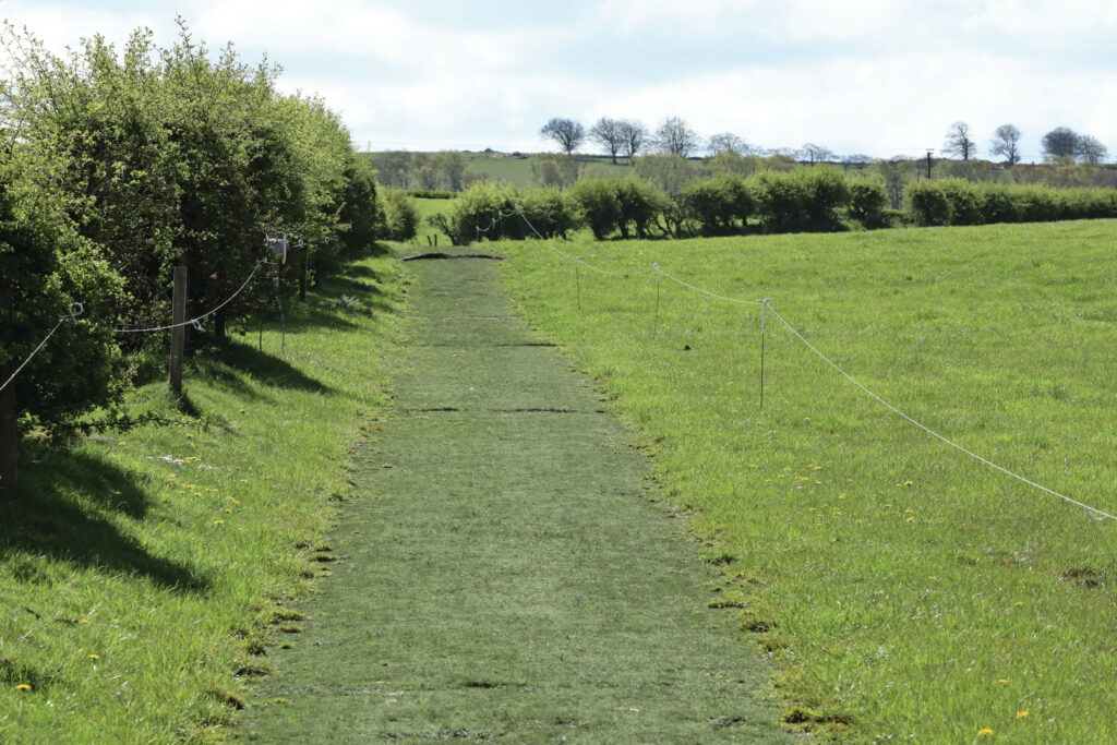 Towards the end of the field is a 2 m wide path laid with artificial grass. It cost the farmer nothing except for the transport costs. Photo: Henk Riswick.