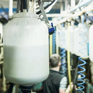 Despite animal health and climate challenges impacting milk supply and inflationary and trade challenges impacting dairy demand, the sector remains resilient, says Mary Ledman, global dairy strategist at RaboResearch. Photo: Canva