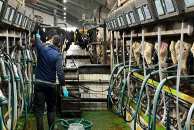Smart milking systems aren’t just upgrades – they’re quiet revolutions humming behind the barn doors. Photo: Jacqueline Hermsen