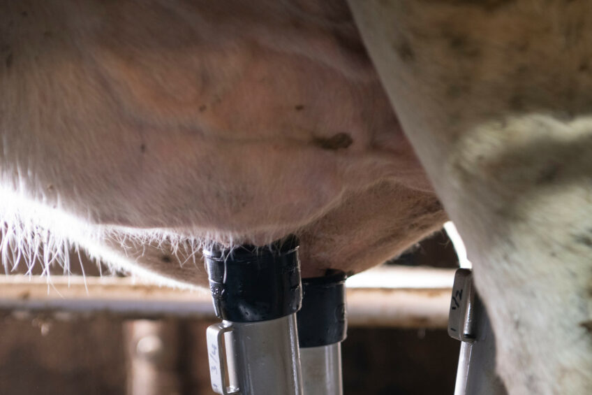 In this new age, efficiency is no longer just about speed. It’s about doing more with less – less stress on the animal, less energy used in the parlour, less waste in the system, and less burden on the farmer. Photo: Mark Pasveer