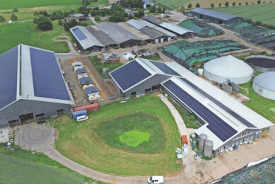 About a third of the solar panels were leased for a lump sum when Fenja Meiners and Adrian Koch took over the company. Electricity sales accounted for approximately 20% of revenue in 2024. Photos: Henk Riswick