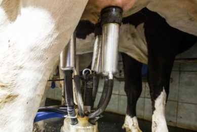 Despite all the automation, the human element is still key. Data needs interpretation. Tech needs tuning. And cows need care. Photo: Herbert Wiggerman